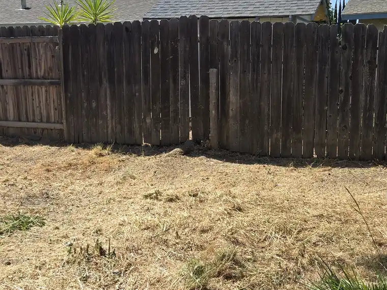 Dry growth cleared along a fence line